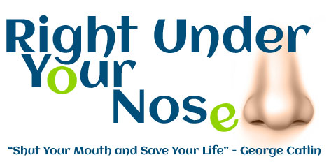The Cure for Snoring - Right Under Your Nose